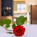 Radisson Blu Hotel, Centre 酒店 鲁昂